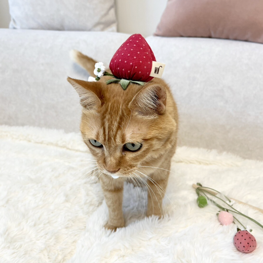Strawberry Headpiece