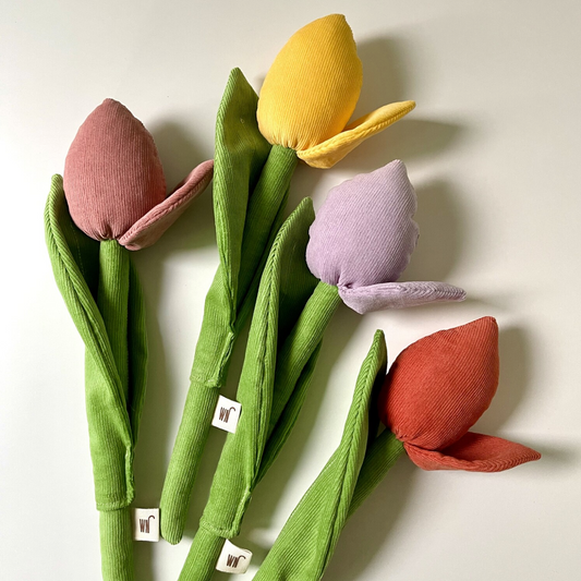 Tulip