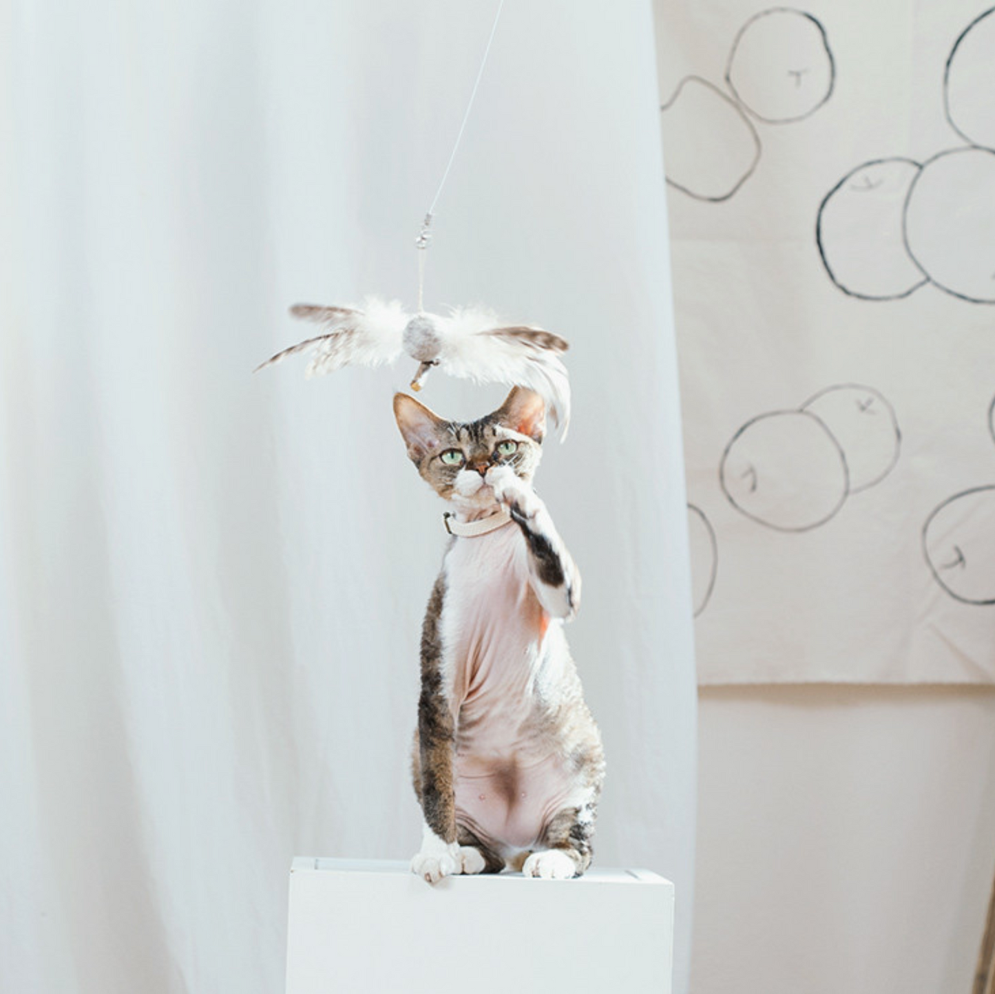 Flying Bird