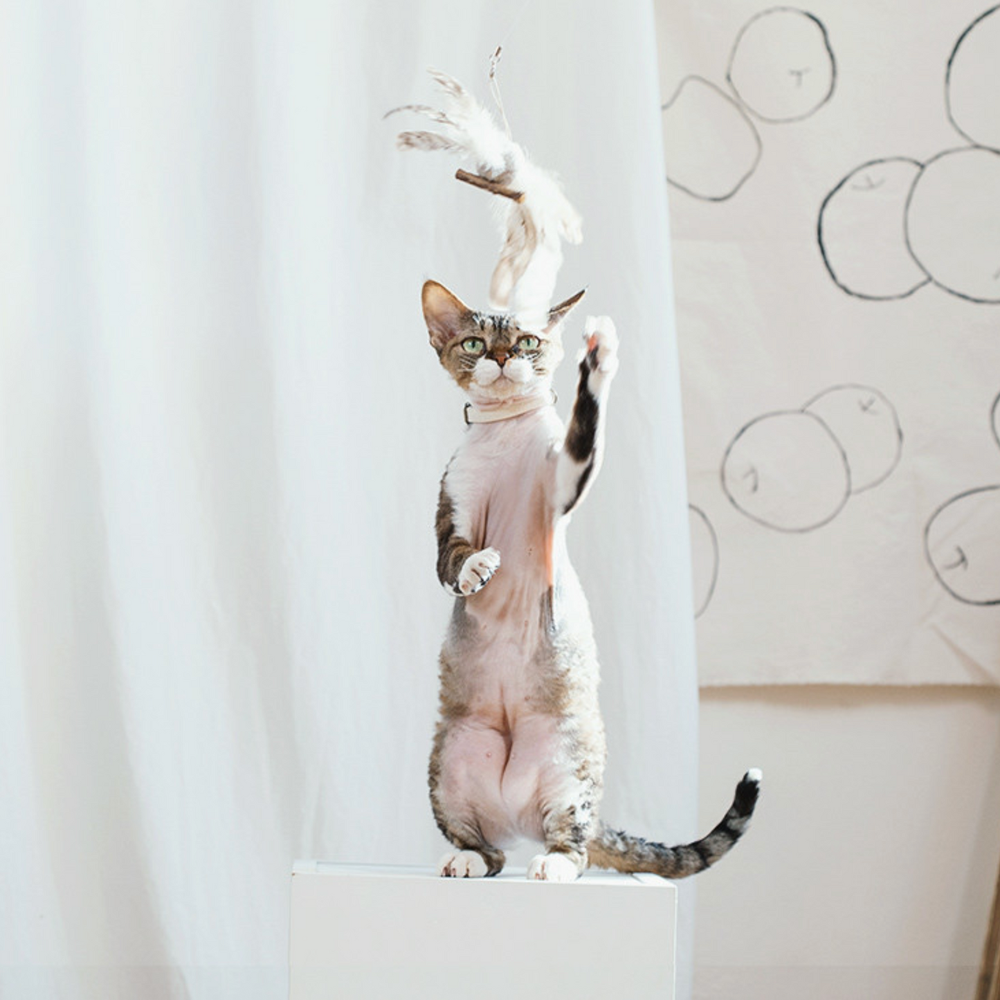 Flying Bird