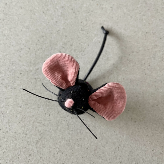 Black Rat