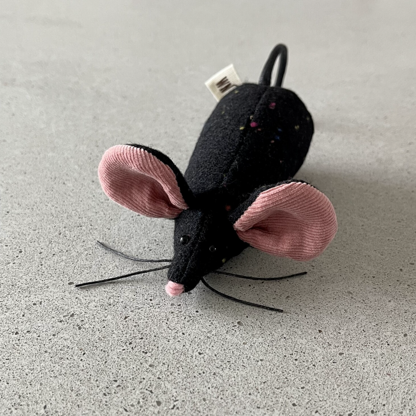 Black Rat