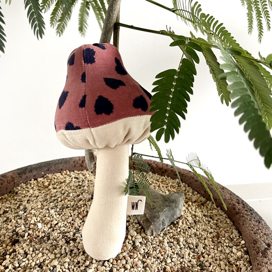 Toadstool