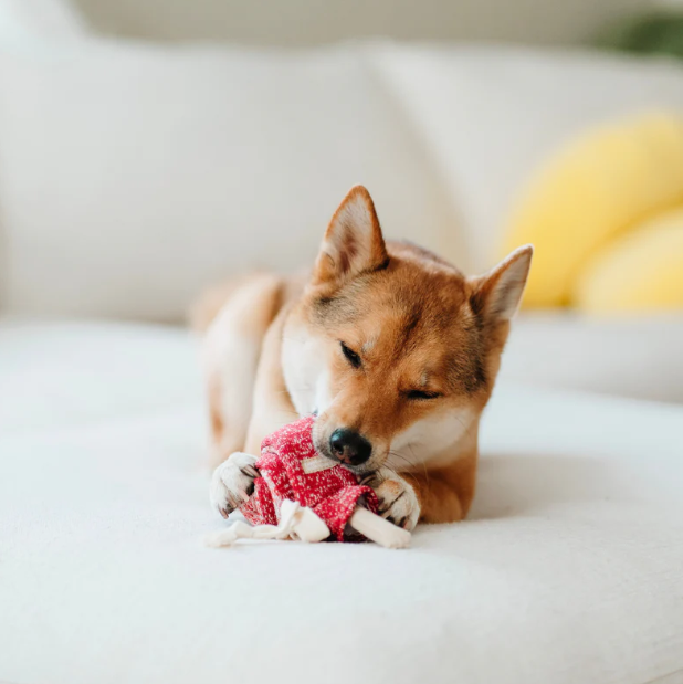 LOLLIPOP//ENRICHMENT DOG TOY