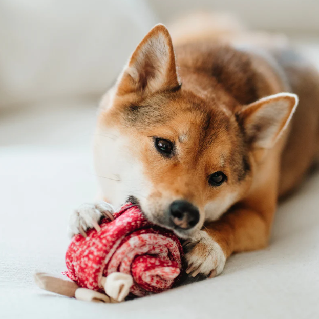 LOLLIPOP//ENRICHMENT DOG TOY