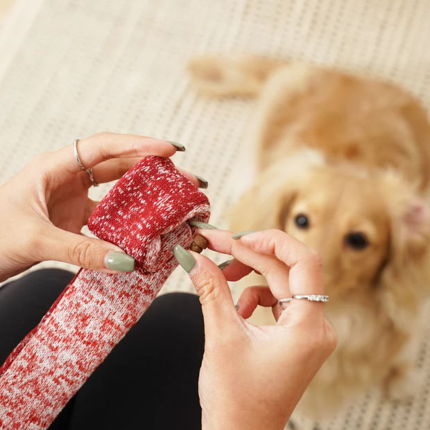 LOLLIPOP//ENRICHMENT DOG TOY