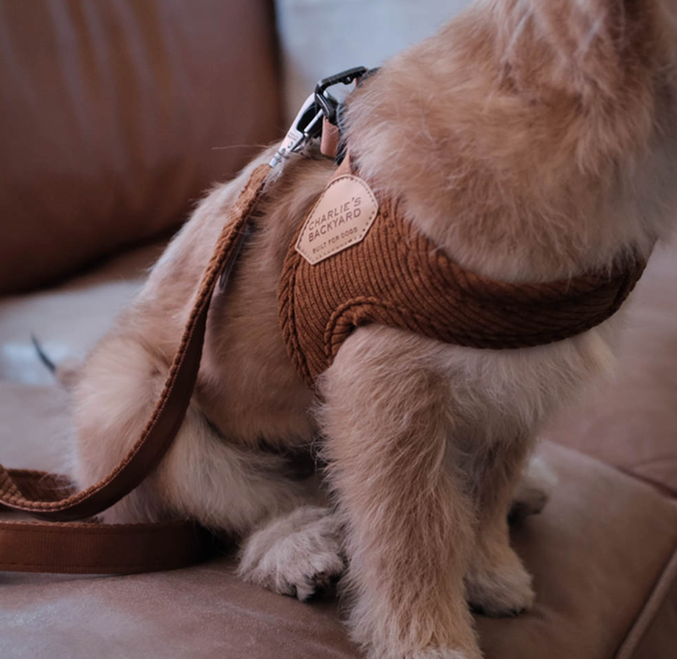 Roy Buckle Up Easy Harness - Caramel
