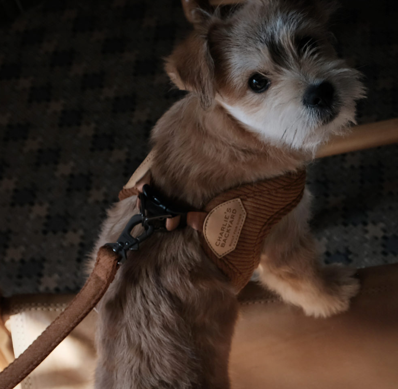 Roy Buckle Up Easy Harness - Caramel