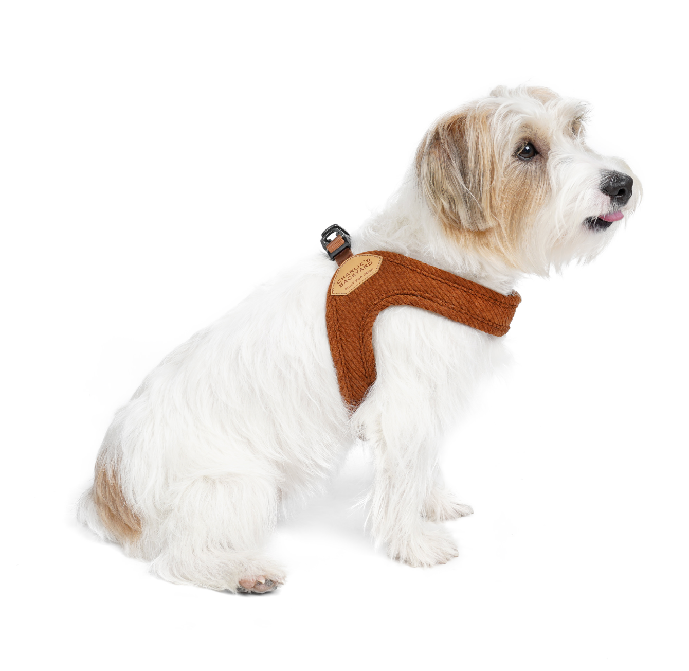 Roy Buckle Up Easy Harness - Caramel