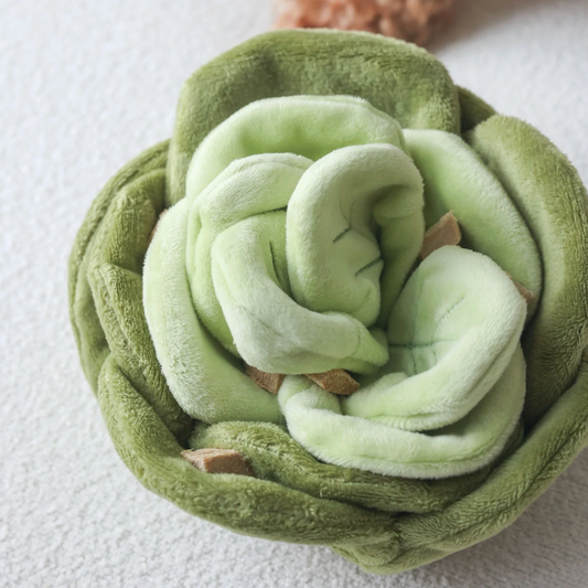 Snuffle Cabbage Nosework Toy