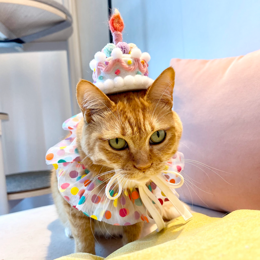 Cake Headpiece