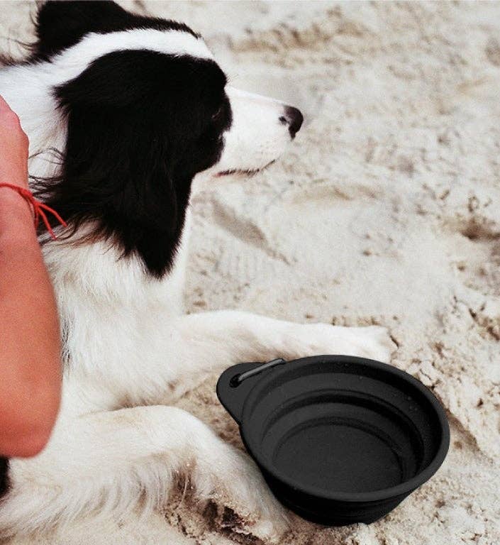 Black | Go Bowl: Small