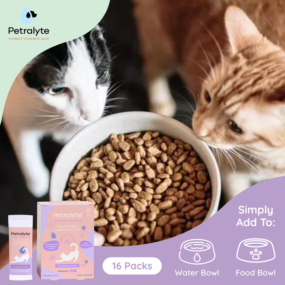 Cat Electrolyte and Joint Supplement | Salmon Lovers