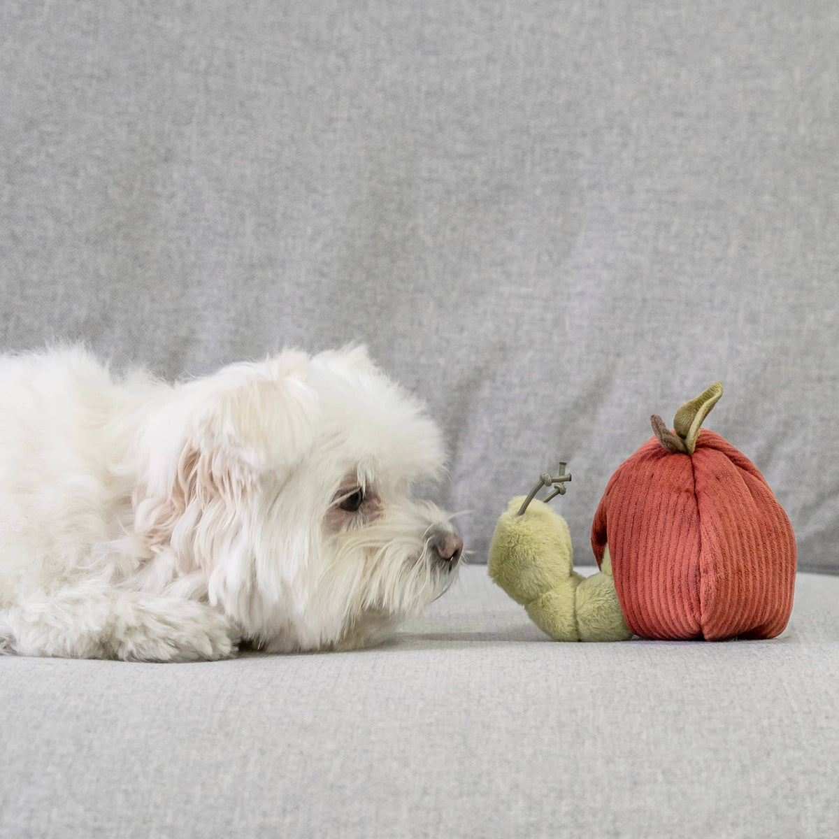 APPLE // ENRICHMENT TOY SET// SNUFFLE + BURROW