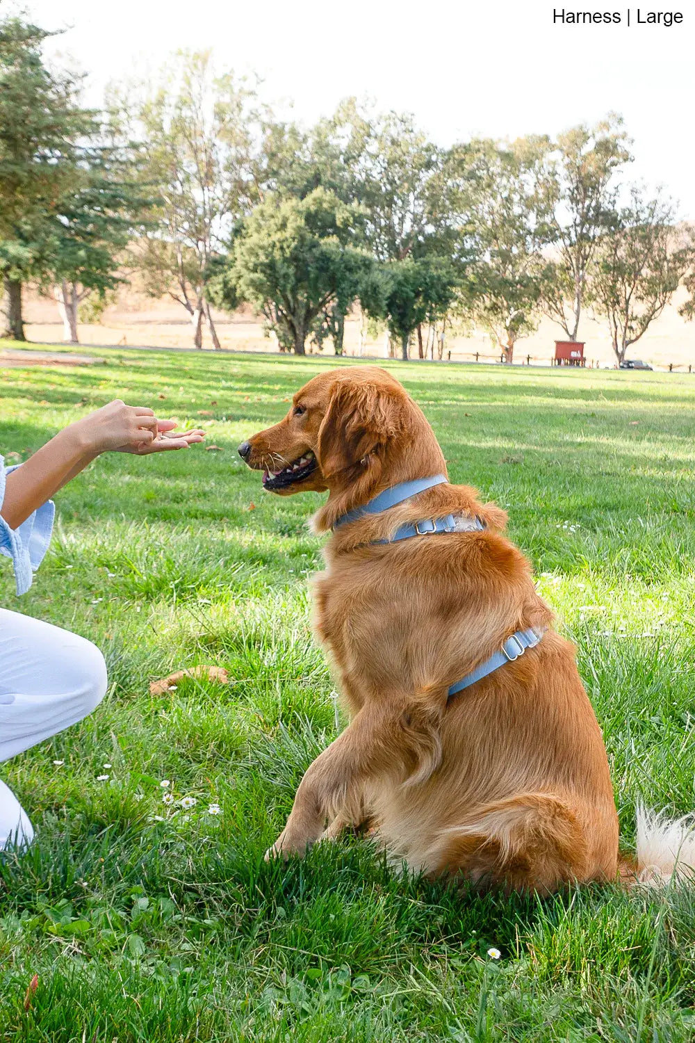 Malibu Blue Cloud Lite Dog Harness