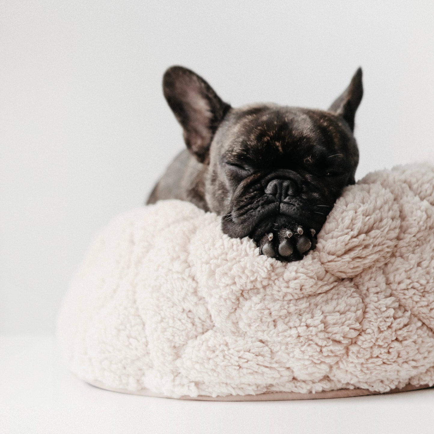 TAART // DOG&CAT BED // Reversible // PETITE