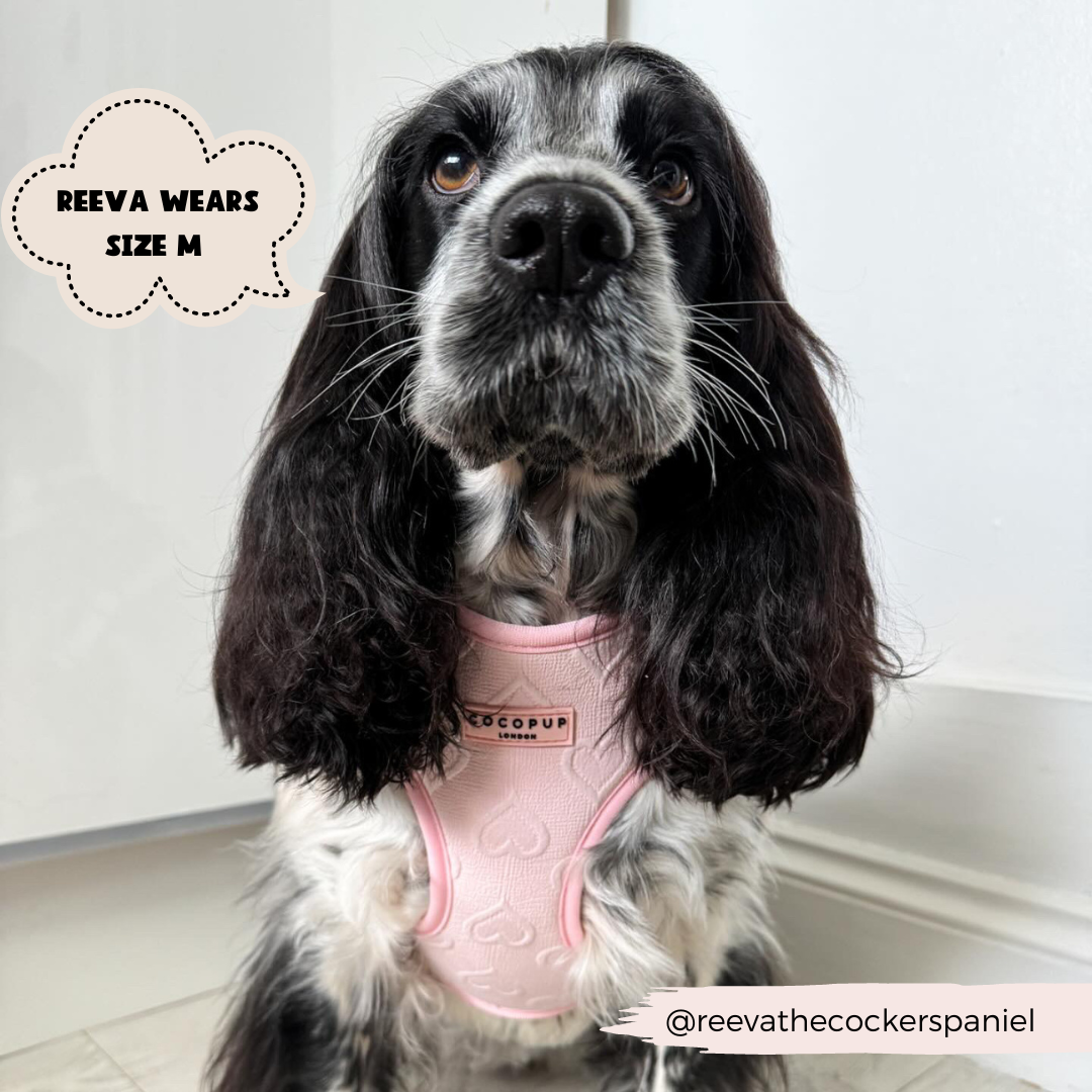 Luxe Adjustable Neck Harness - Baby Pink Heart