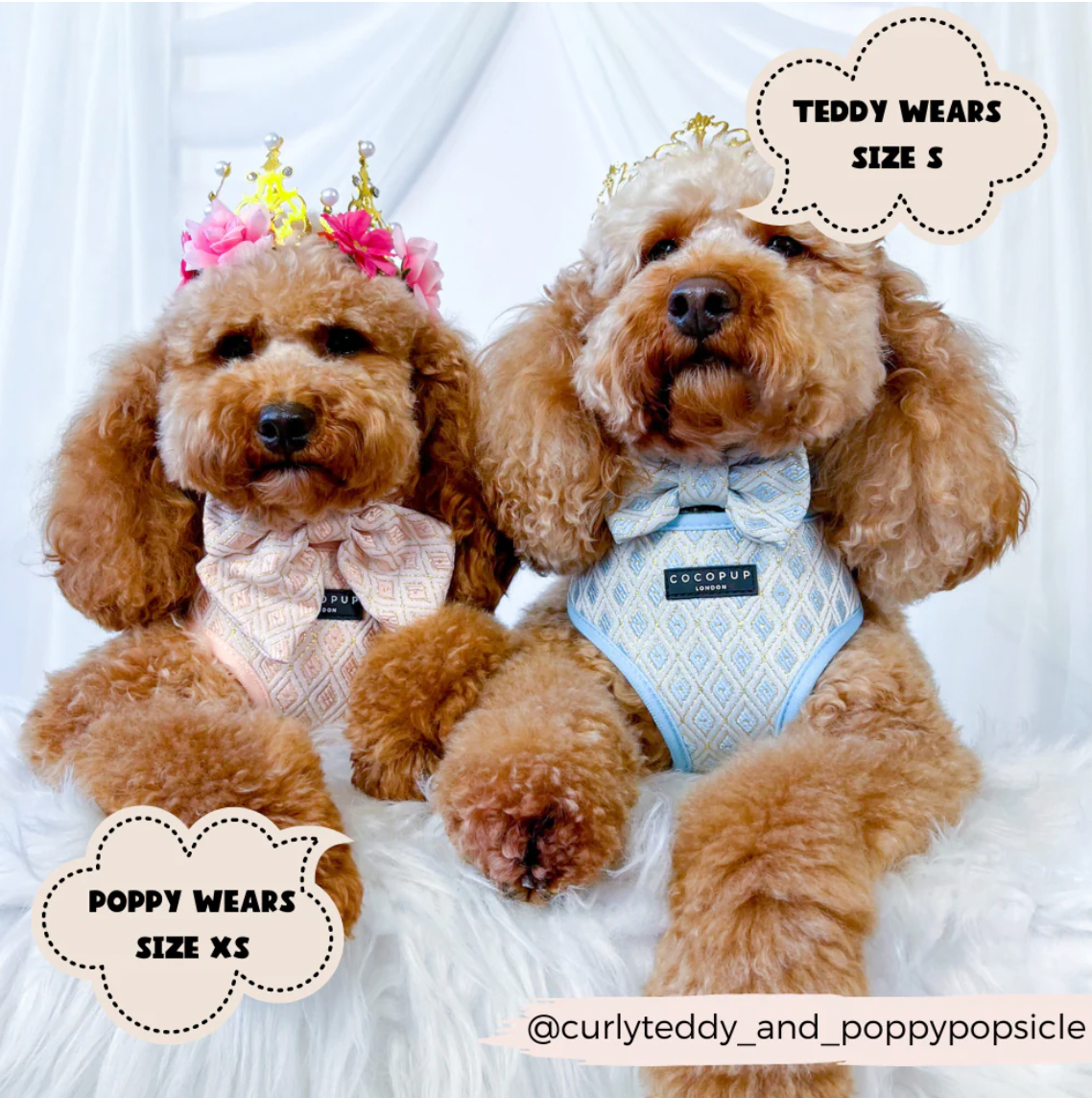 LUXE Embroidered Glitter Adjustable Harness - Pup Charming