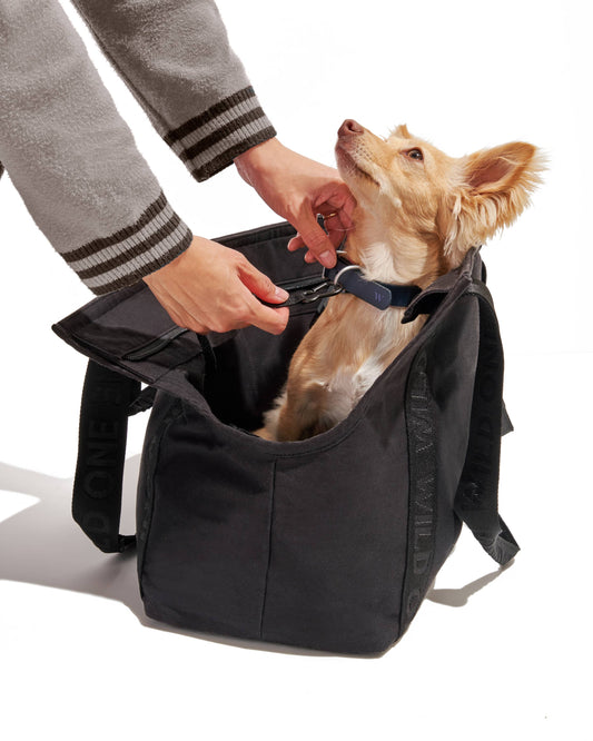Cotton Everyday Carrier: Black