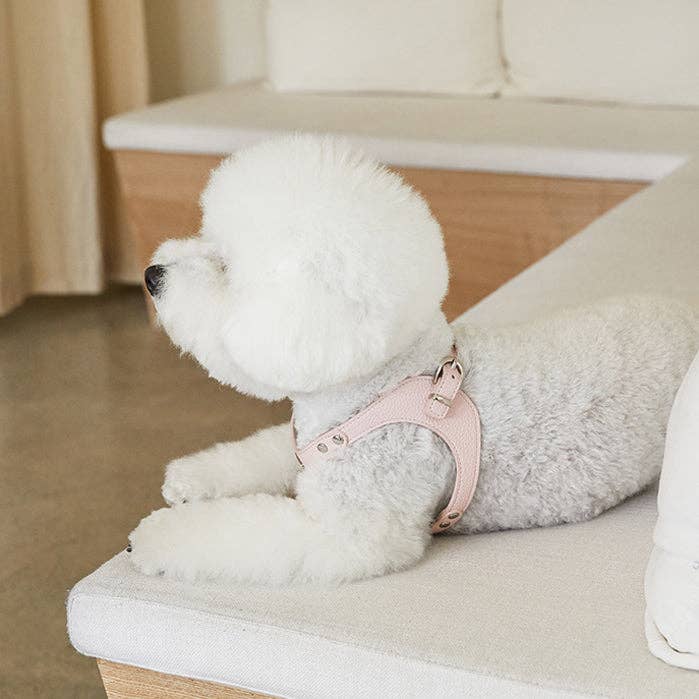 Delight Belt Harness - Vegan Leather