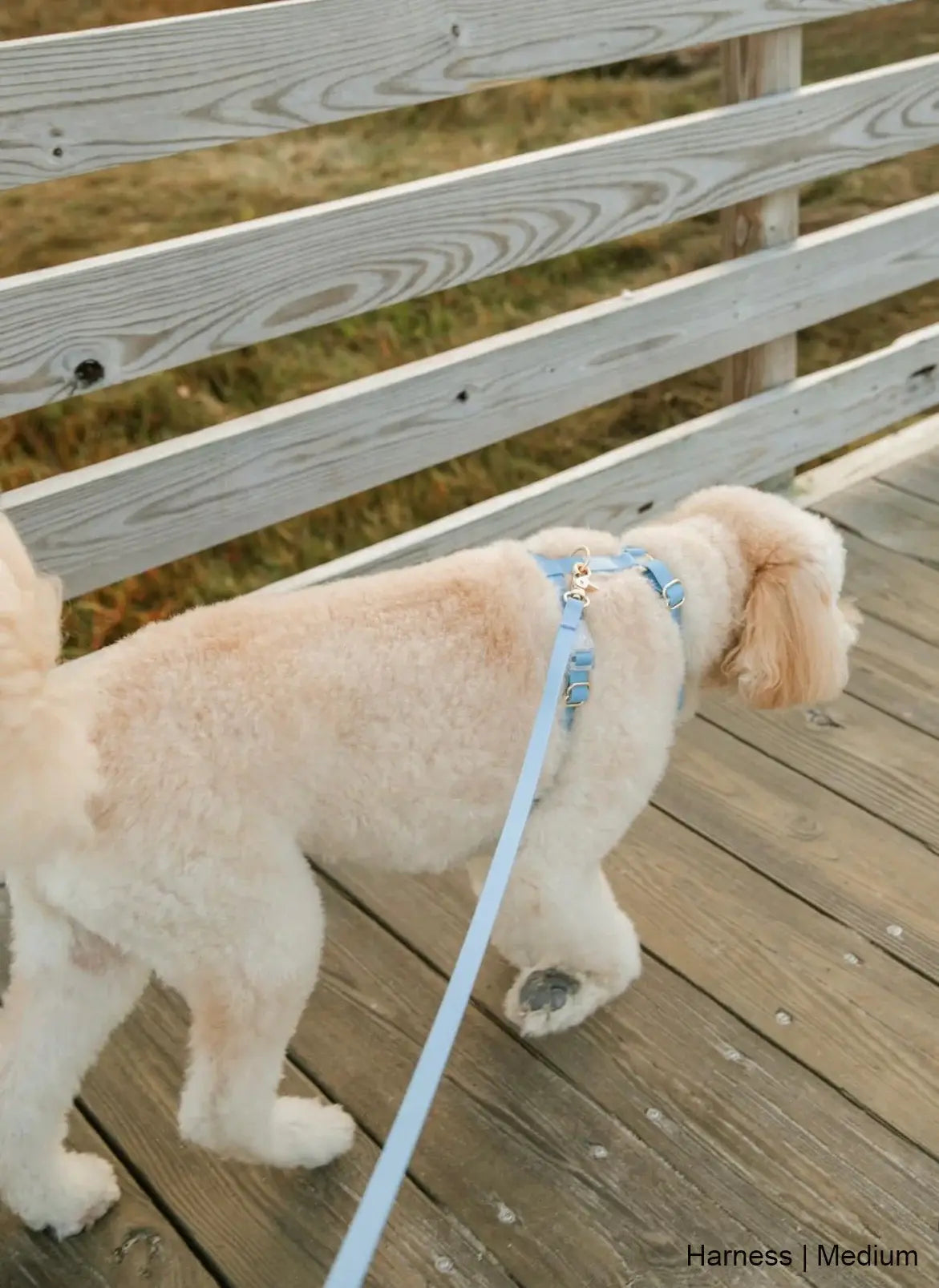 Malibu Blue Cloud Lite Dog Harness