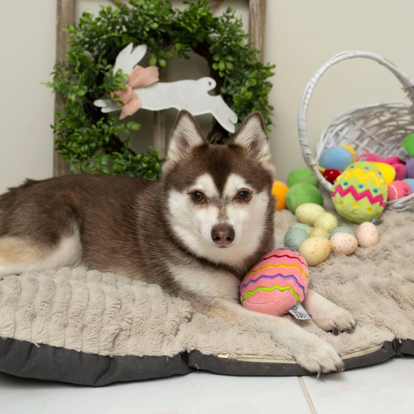 Easter Egg Plush Dog Toy - Pink