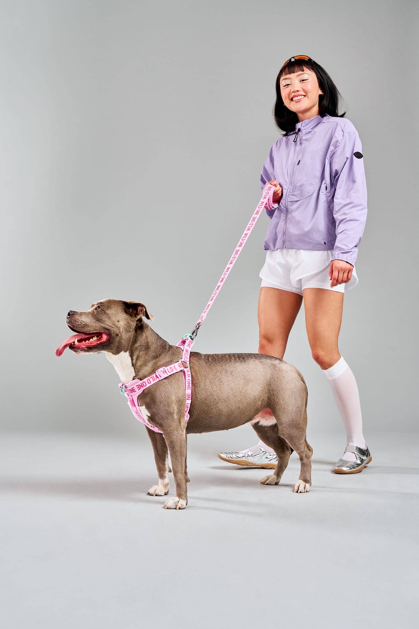 Step-In Harness