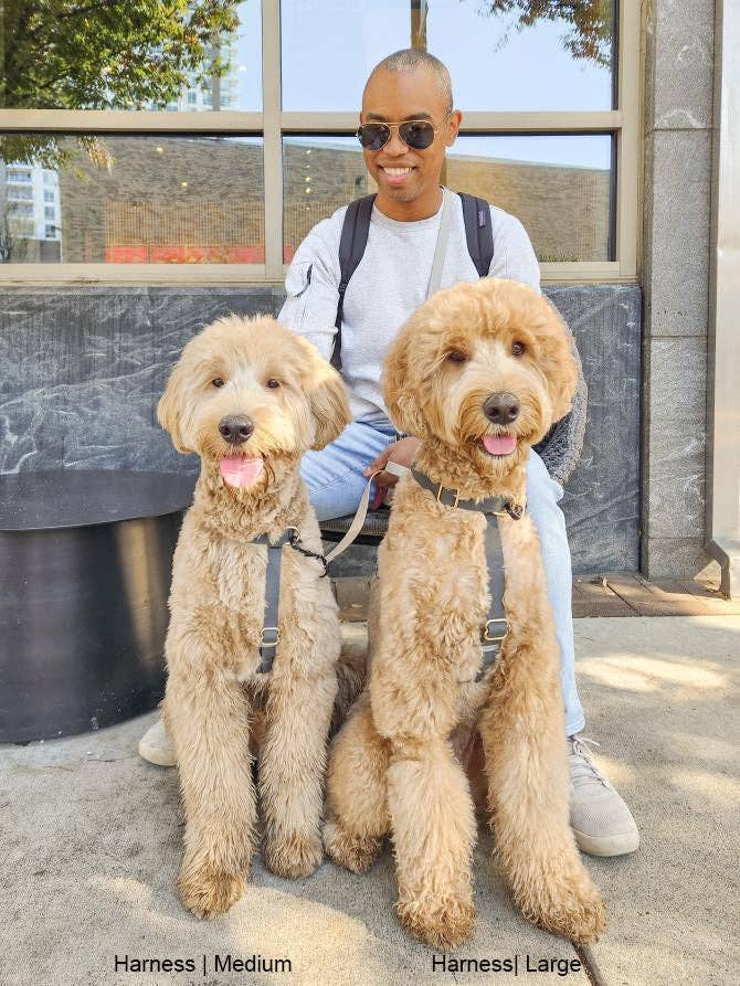 Ember Black Cloud Lite Dog Harness
