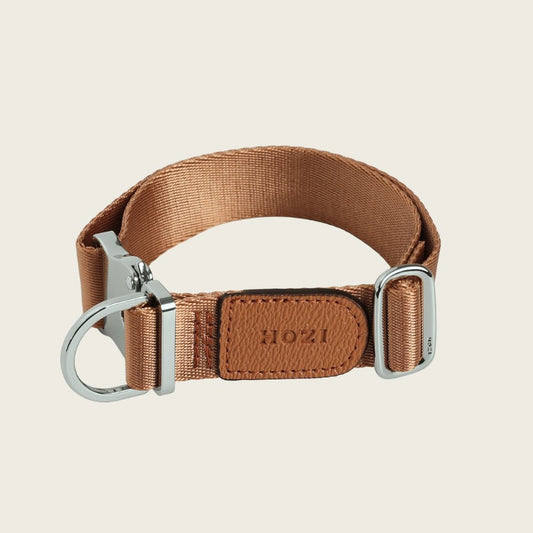 Buckle Strap Collar - Camel