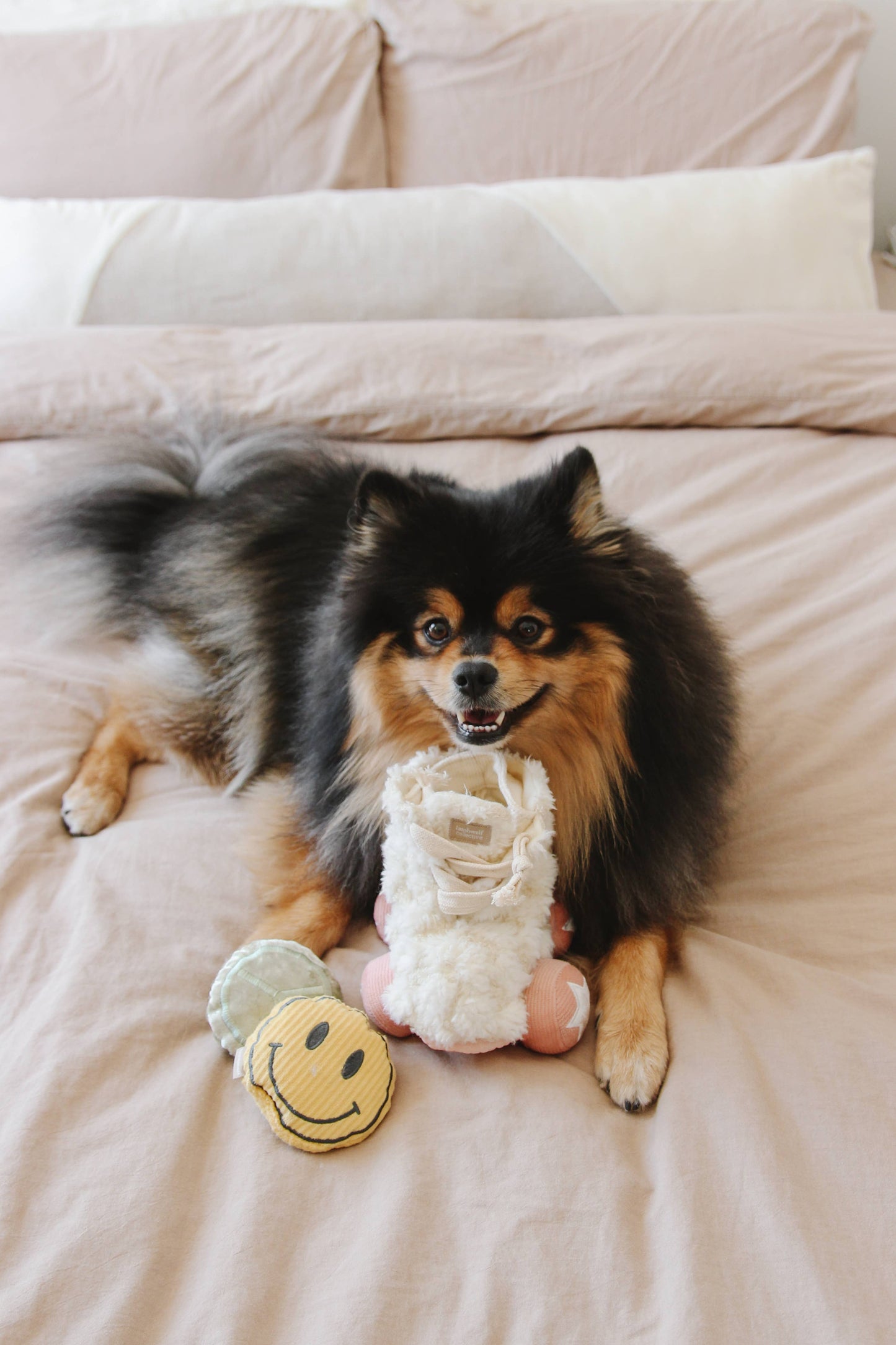 Roller Skate //ENRICHMENT DOG TOY