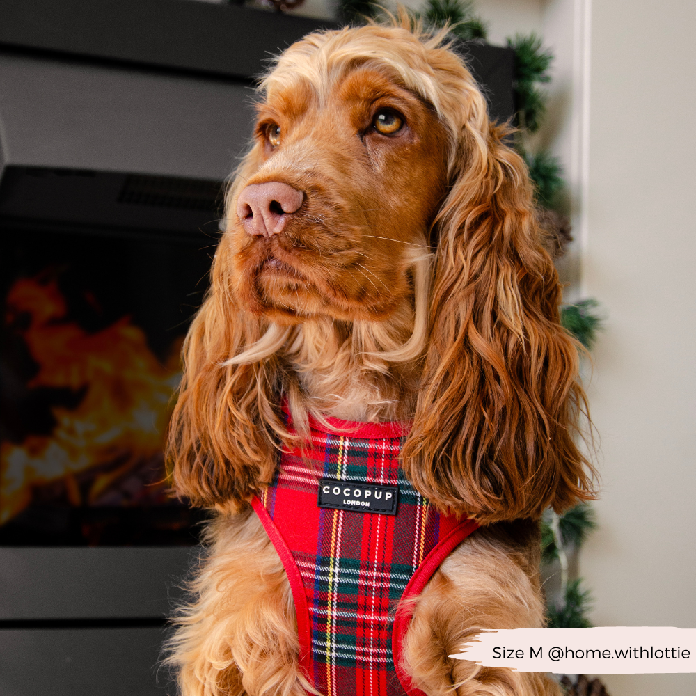 Tartan Adjustable Neck HARNESS
