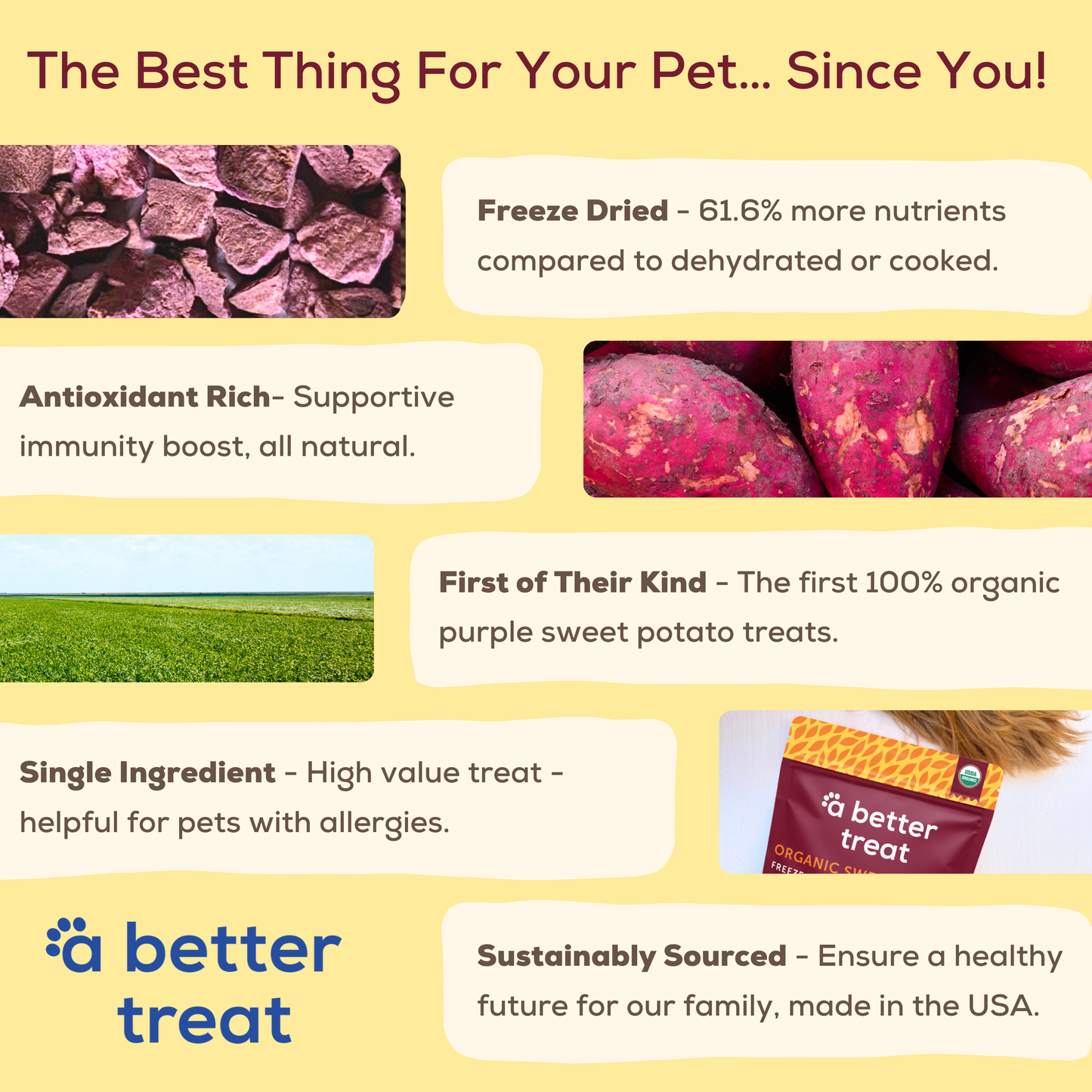 Freeze Dried Raw USDA Organic Purple Sweet Potato Dog and Cat Treats