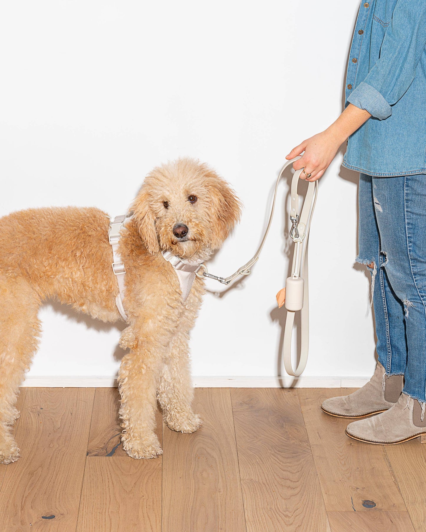Poop Bag Carrier Dispenser for Pets & Dogs