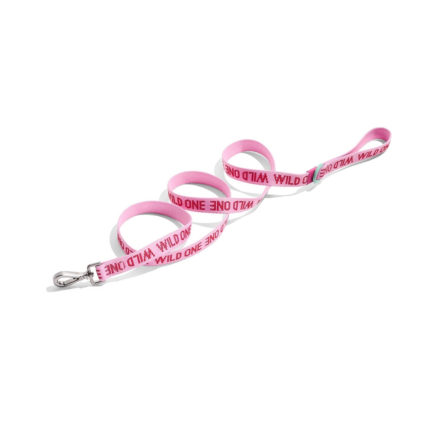 Lightweight Nylon Leash