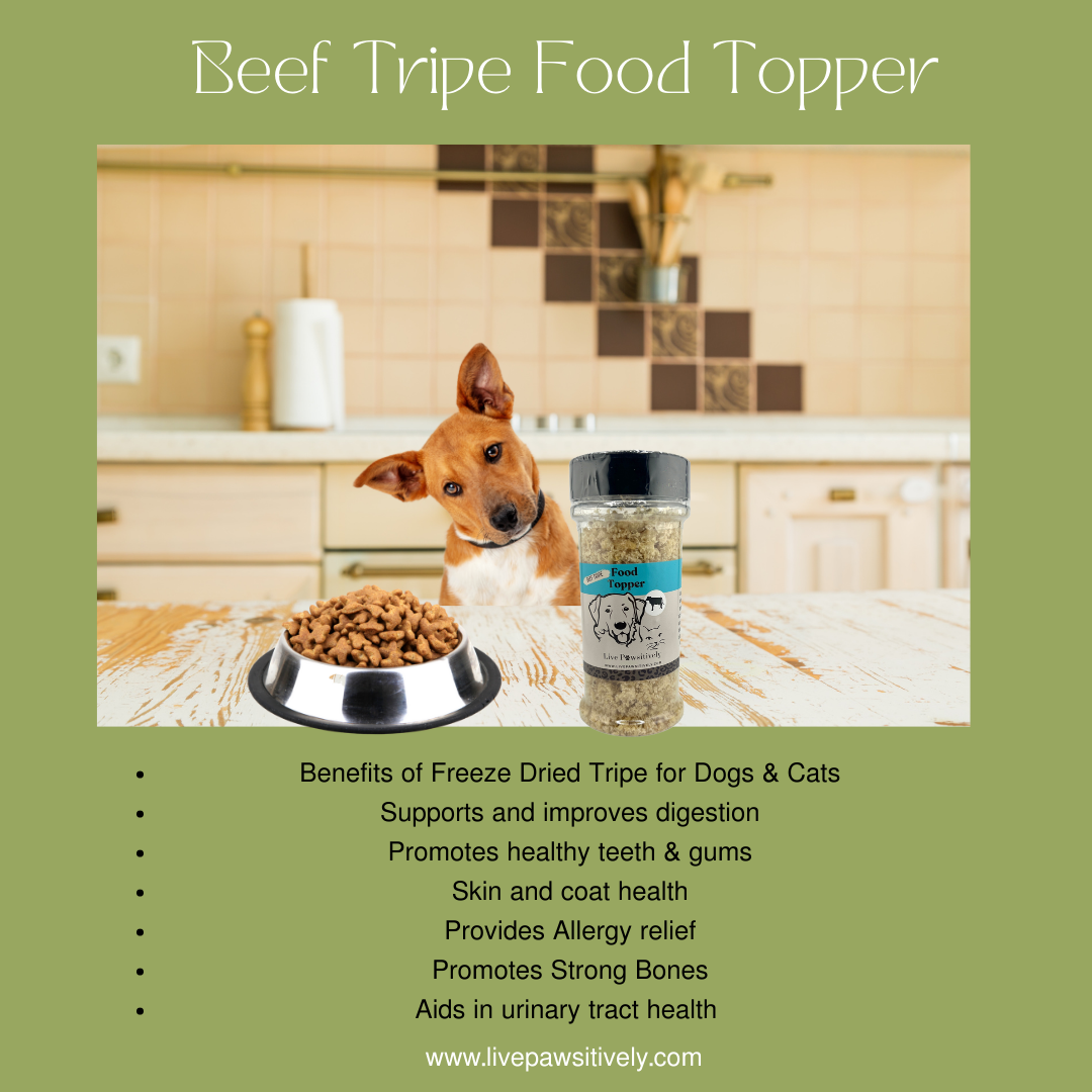 Beef, Chicken, Lamb, Salmon, White Fish & Vegan Sweet Potato: Lamb