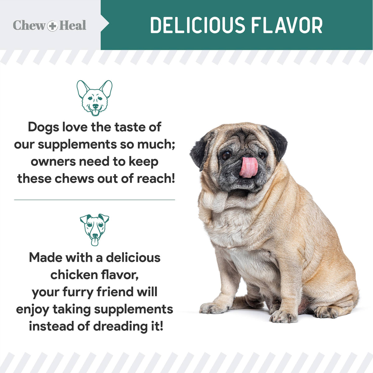 Essential 12-in-1 Multivitamin Soft Chews for Dogs