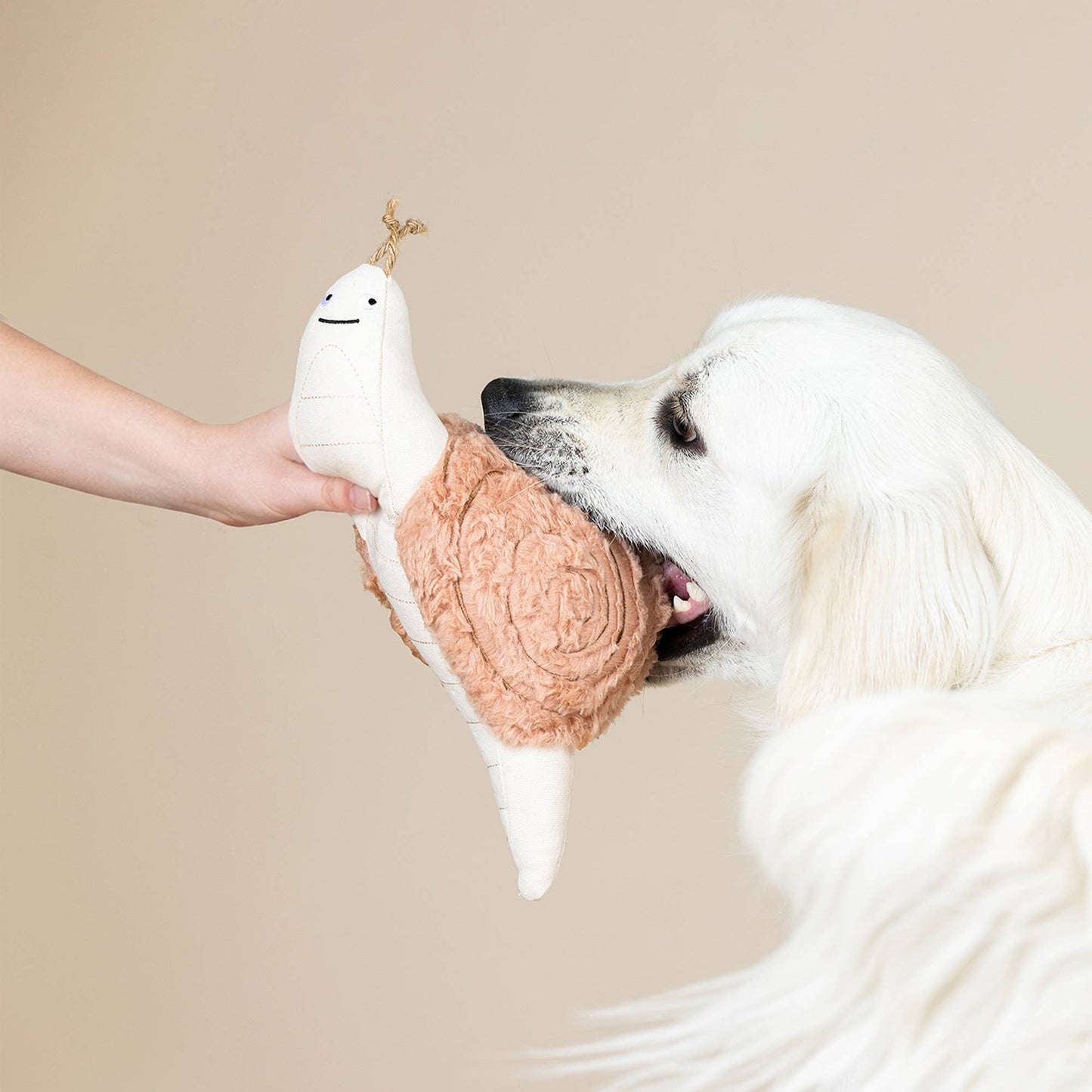 EARTH FRIENDLY DOG TOY SNAILS PACE