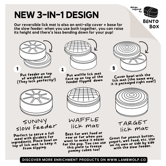 3-IN-1 BENTO BOWL