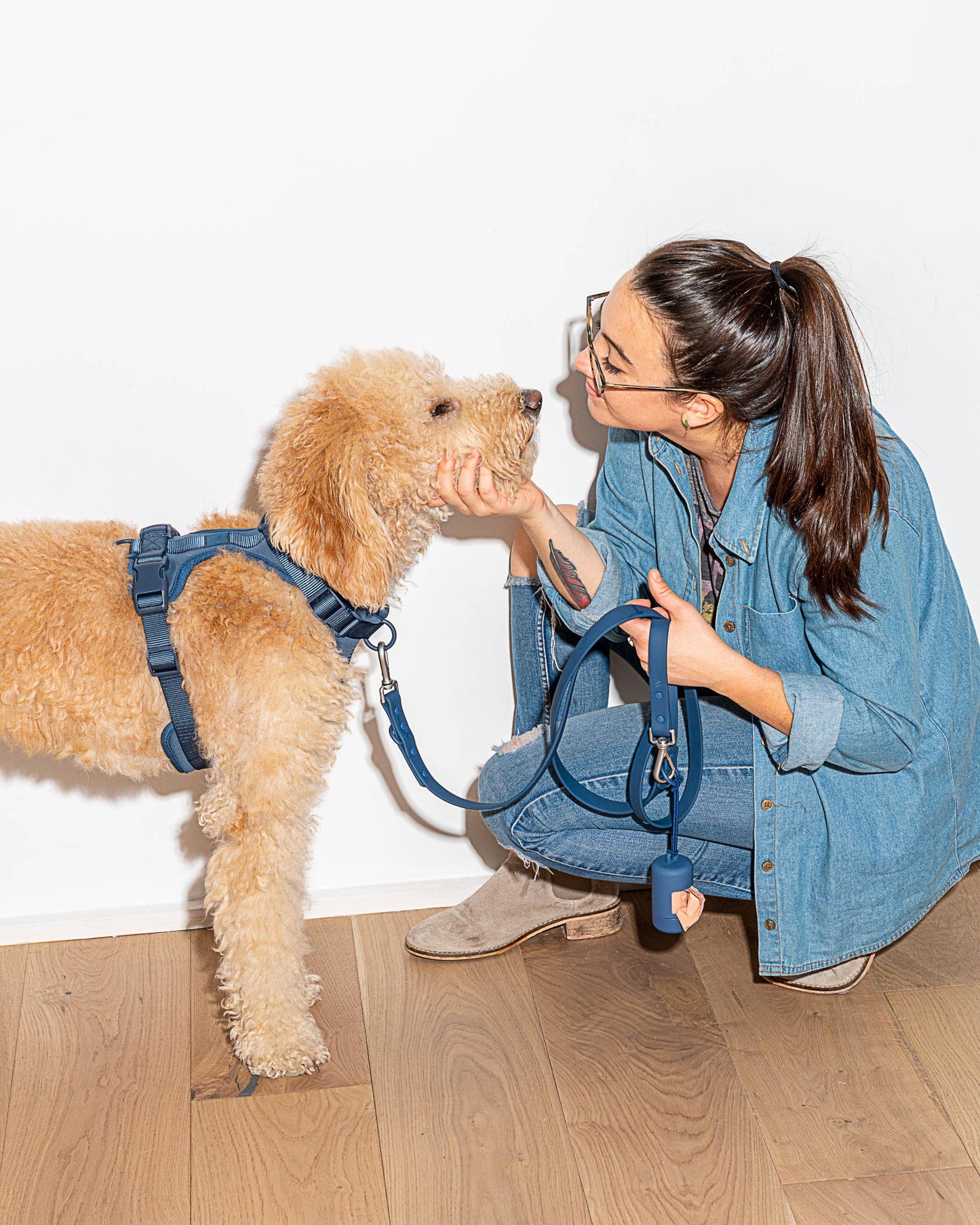 Poop Bag Carrier Dispenser for Pets & Dogs