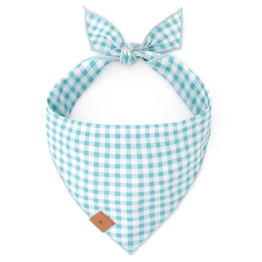 Carrot Patch Easter Reversible Dog Bandana