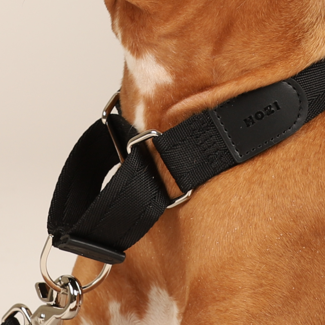 Martingale Collar - Black