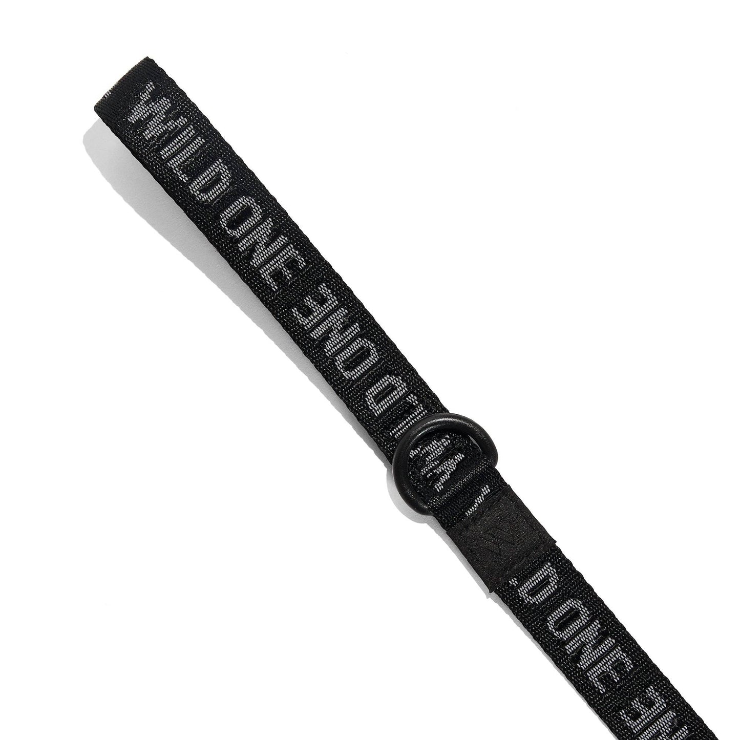 Lightweight Nylon Leash