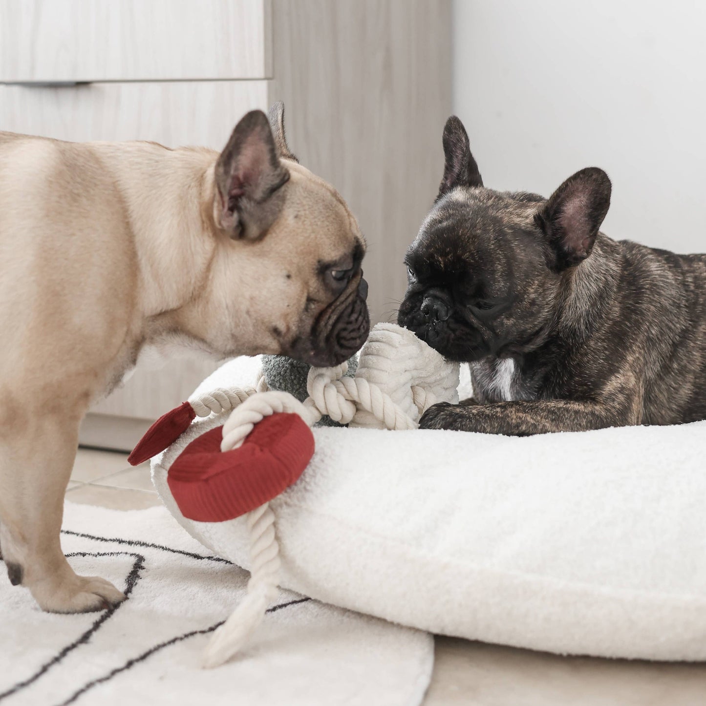 XMAS BLOCS//ENRICHMENT DOG TOY // HOLIDAY