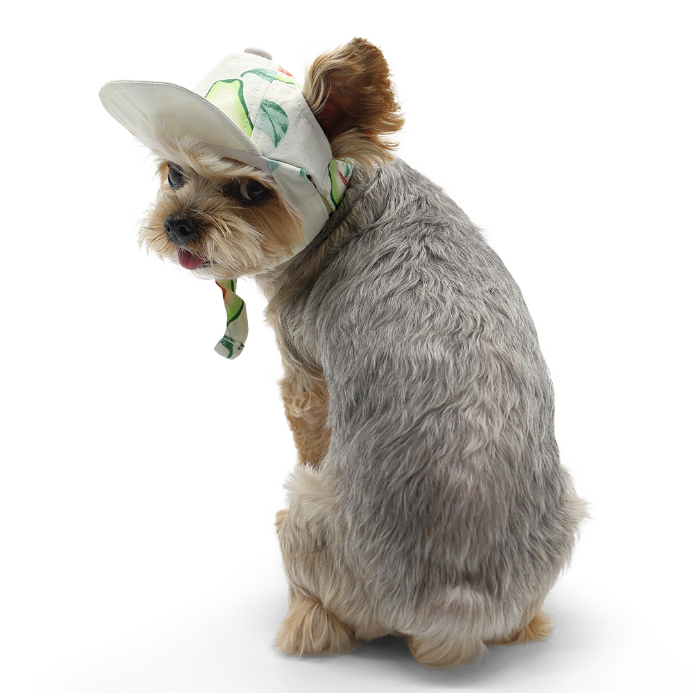 Avocado Hat
