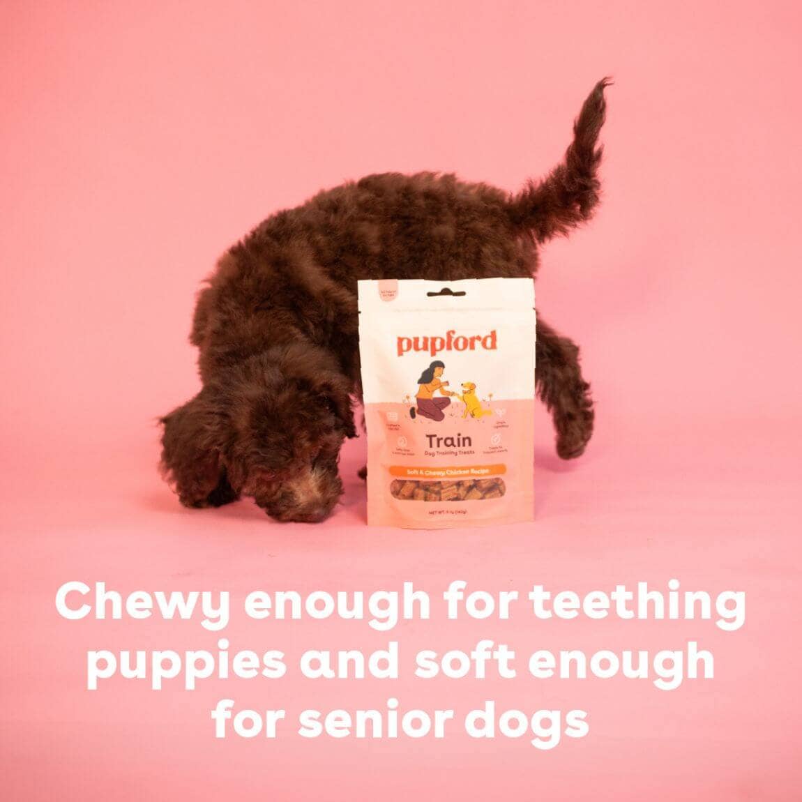 Soft Chicken Training Treats