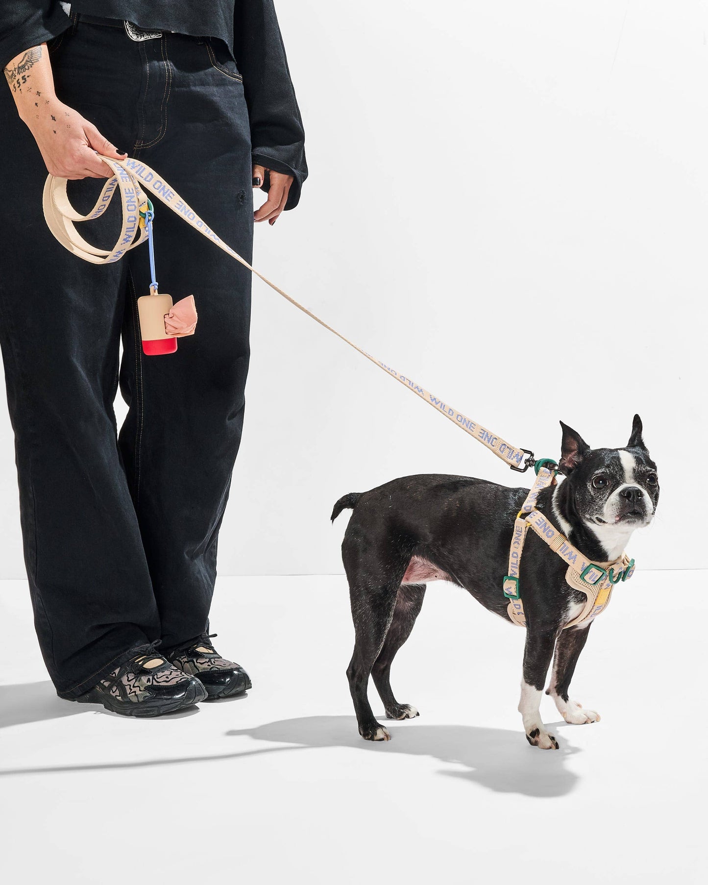 Lightweight Nylon Leash