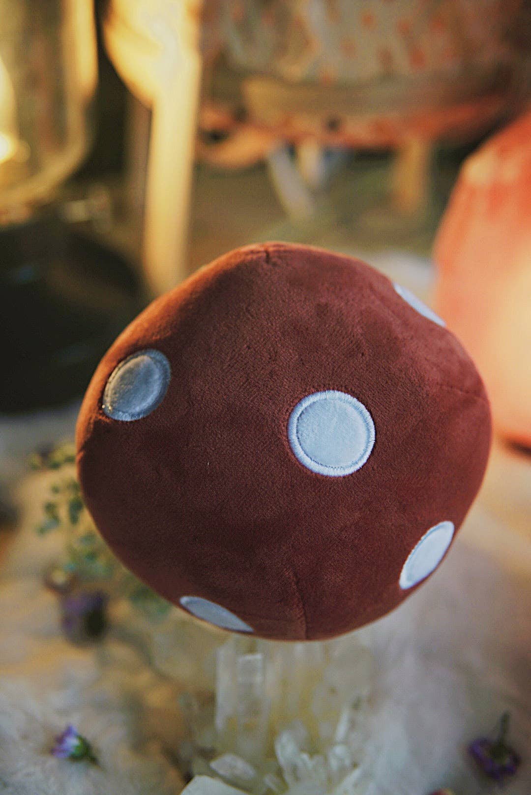 Mushroom House