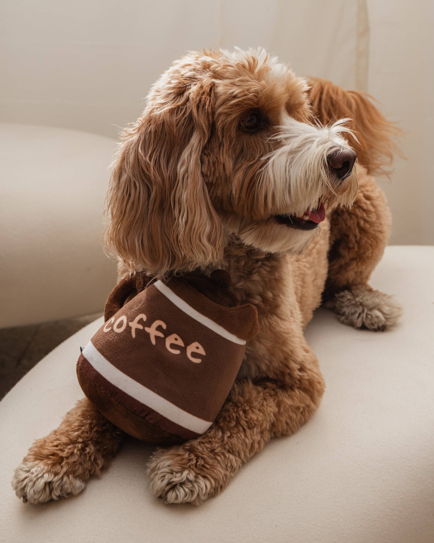 Puppuccino Plush Toy