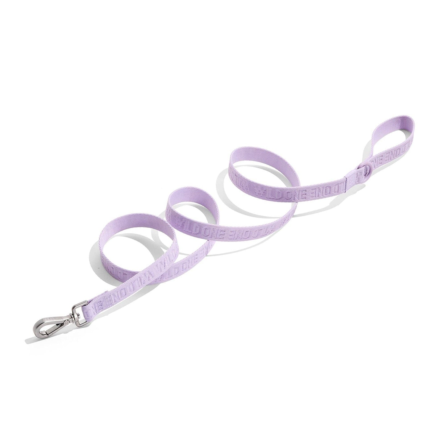 Lightweight Nylon Leash