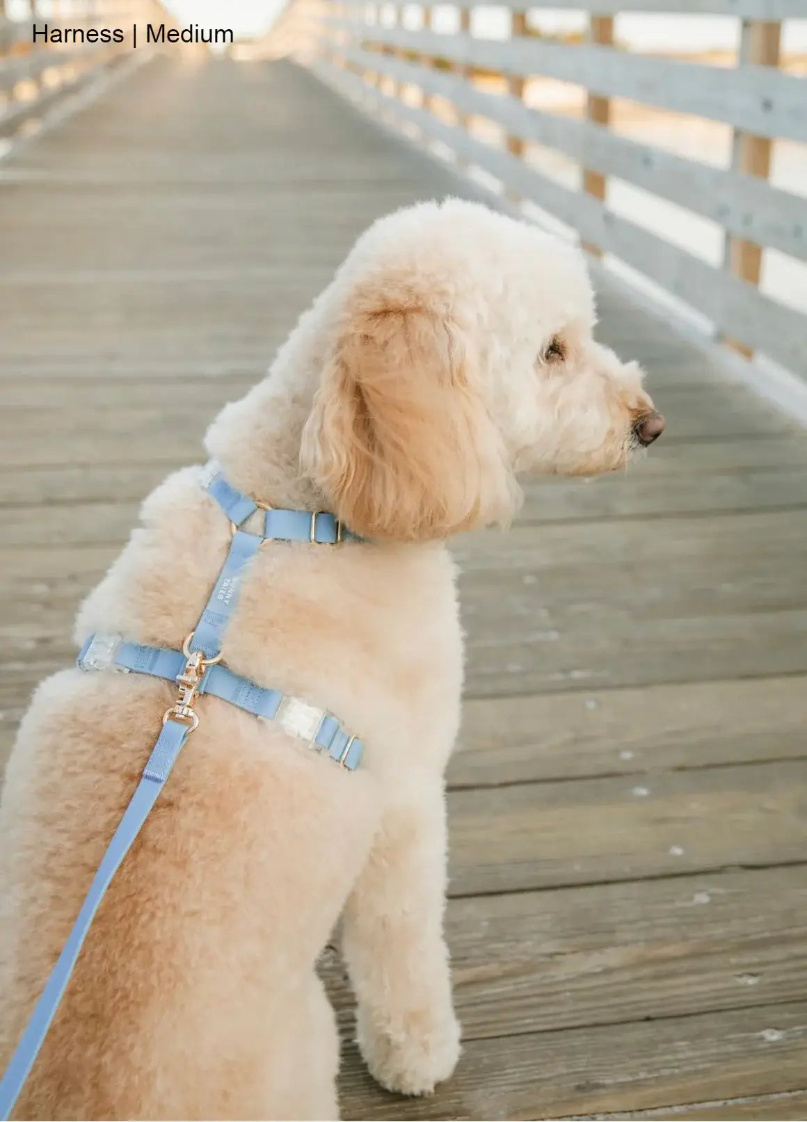 Malibu Blue Cloud Lite Dog Harness